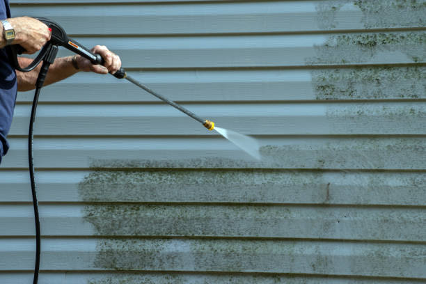 Professional Pressure Washing in Warm Beach, WA